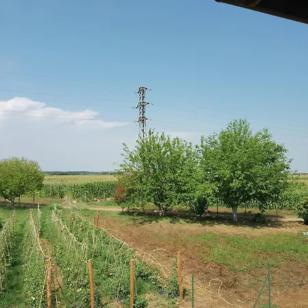 Cascina Tesoriera